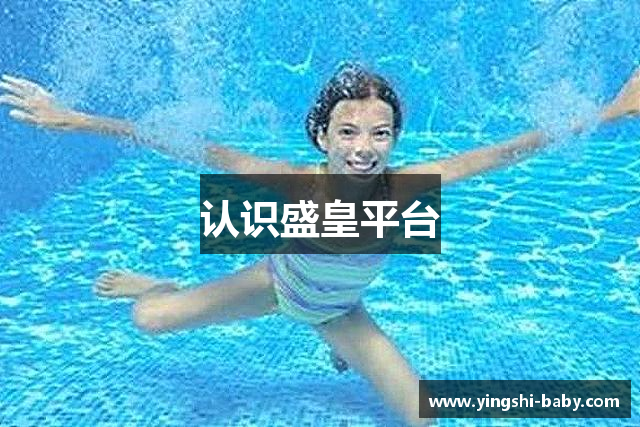 认识盛皇平台